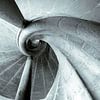 Wendeltreppe von Karsten Rahn