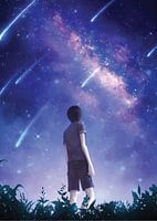Starlight Serenity