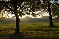 Wachten op de zonsondergang