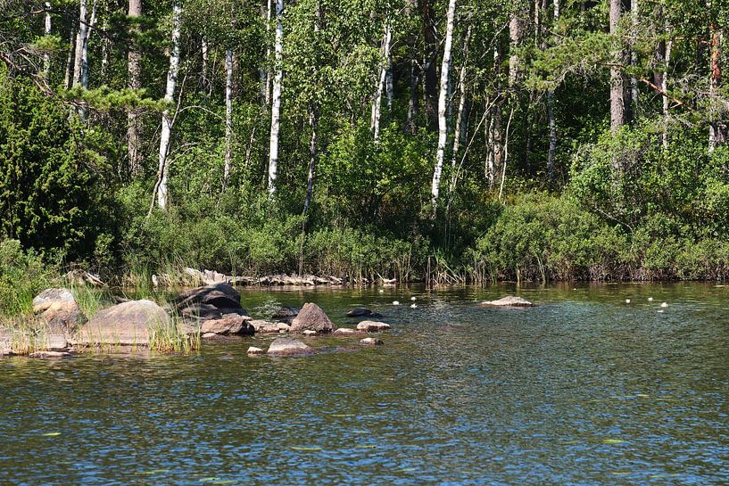Sweden serene 06 by Geertjan Plooijer