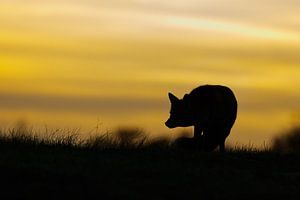 End of the day sur Pim Leijen