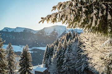 Winteruitzicht op de Hochgrat in de ochtend van Leo Schindzielorz