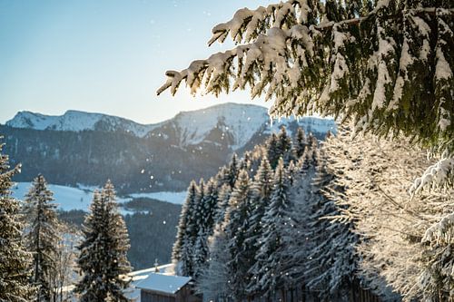 Winteruitzicht op de Hochgrat in de ochtend