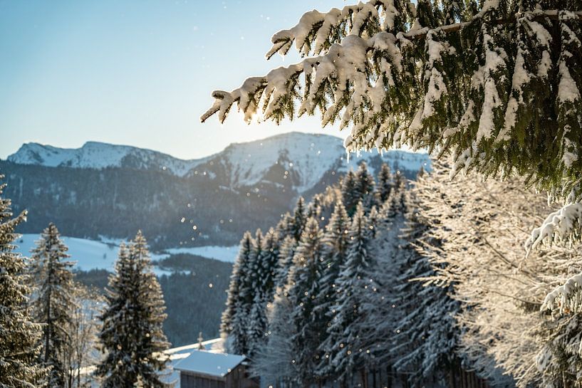 Winter view of the Hochgrat in the morning by Leo Schindzielorz