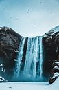 Skogafoss waterval IJsland van Prints by Abigail Van Kooten thumbnail