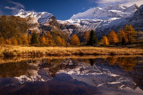 Simplonpass - Wallis - Schweiz von Felina Photography