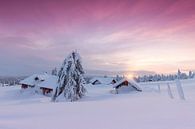 Ondergesneeuwd  dorp nabij Lillehammer tijdens zonsondergang van Rob Kints thumbnail