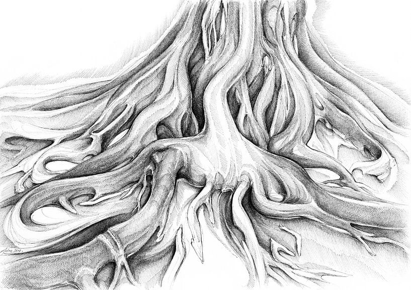 Ficus Macrophylla II van Adriana Müller