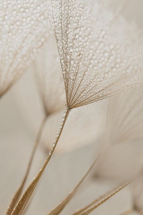 Rust en eenvoud: druppels in het licht van <span class="secondary-font">Marjolijn van den Berg</span>