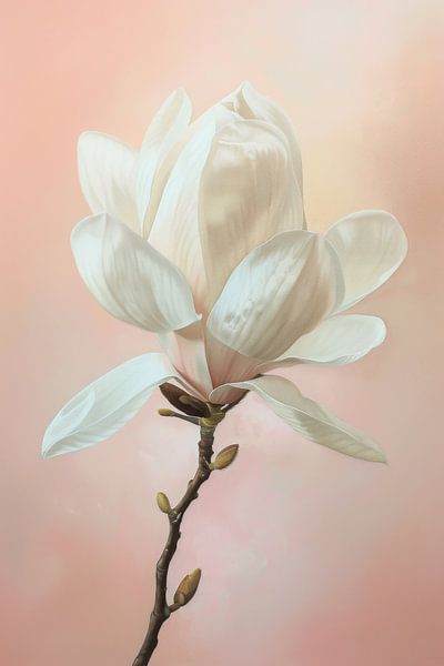 Zarter Magnolienzauber von Poster Art Shop