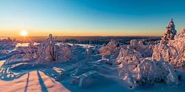 Sonnenaufgang am Schliffkopf im Schwarzwald von Werner Dieterich