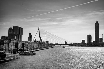 Vue sur la Nouvelle Meuse sur Minouque Seesink