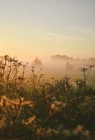 Gouden zonsopkomst mistig platteland