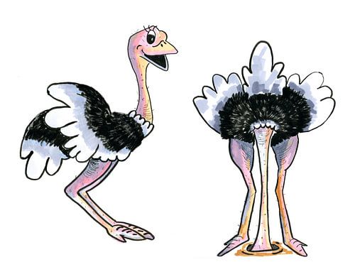Cartoon of hand drawn Ostriches isolated over white background