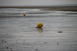 Laagwater van Tejo Moerings