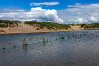 Zaun im Wasser 1