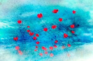 Rouge en bleu
