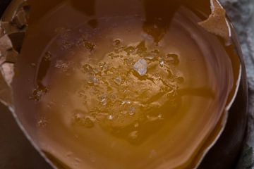 foodfotografie - ei met een gouden zouten randje  van Tess Groote