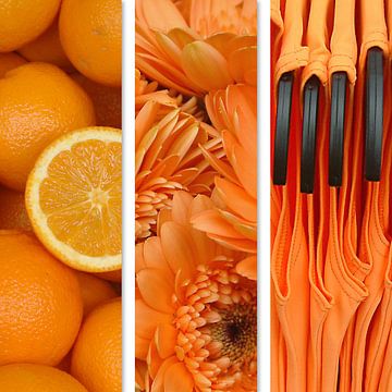 Color Orange 2 van Irene Polak