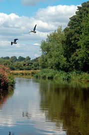 River Wey and Godalming navigations.