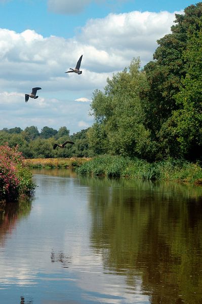Schifffahrt auf dem Fluss Wey und Godalming. von Richard Wareham