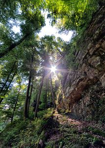 Der Mullerthal Trail Luxemburg von Rob van der Teen