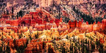 Panorama-opname van hoodoos in Bryce Canyon National Park in Utah USA van Dieter Walther