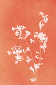 Monograph Orange Flowers by amini54