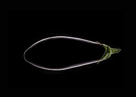 Eggplant by Martin van Lochem