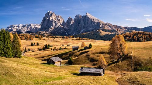 Alpe di Siusi in Zuid-Tirol in de herfst