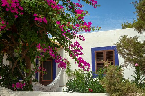 Spanisches Haus mit einer Bougainvillea