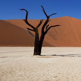Dodevlei, Namibia von Kelly Baetsen