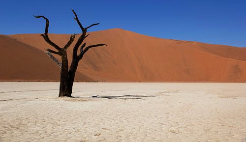 Dodevlei, Namibia