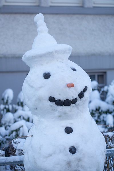 Schneemann, Bremen, Deutschland, Europa von Torsten Krüger