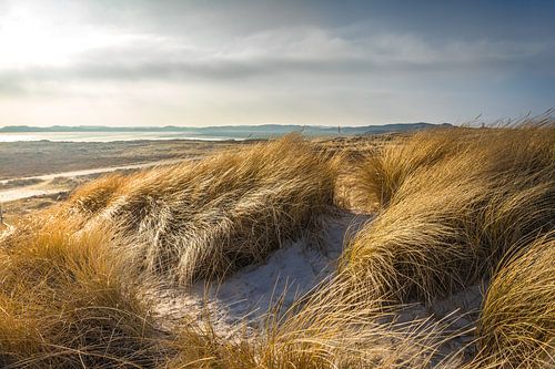 Duinlandschap op Sylt in de winter