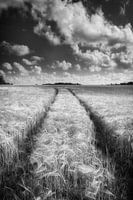 Road to nowhere