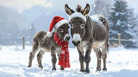 Esel im Schnee zu Weihnachten...