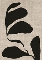 Linen collection - COCO BLACK