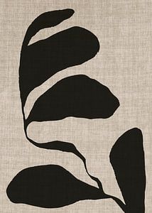 Linen collection - COCO BLACK