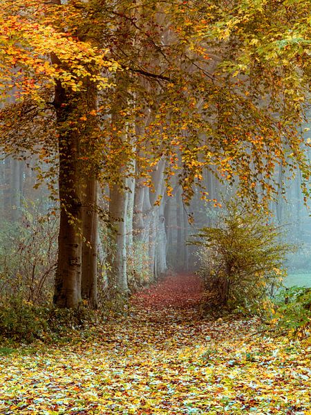 Poetrees van Lars van de Goor