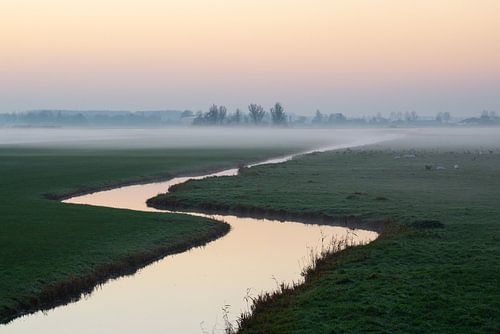 sloot met ochtendmist in polderlandschap