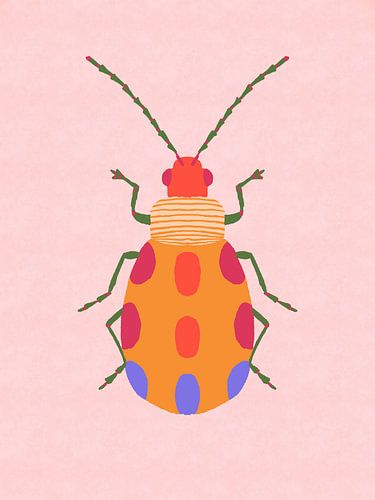 Colorful Beetle