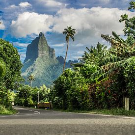 Bali Hai Moorea van Ralf van de Veerdonk