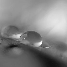 Symphonie d'amour sur Carla Mesken-Dijkhoff