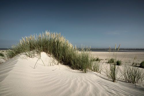 Baltrum II