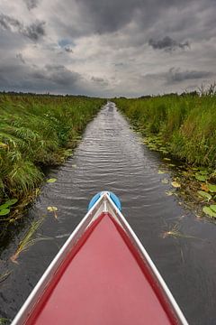 In een fluisterbootje door de Weerribben by Jenco van Zalk