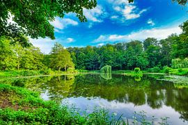 Mooie vijver op heldere zomerdag omringd door bomen