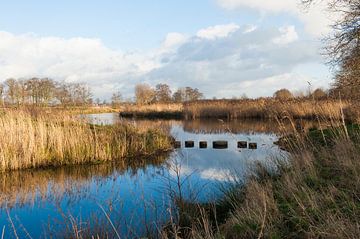 Natuurgebied De Schammer van Marianne Rouwendal