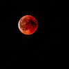 bloodmoon by Mark Zanderink