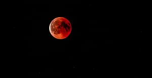 bloodmoon van Mark Zanderink